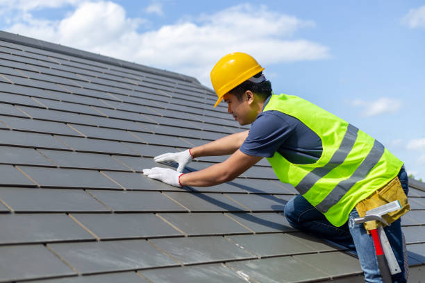 Best Roof Gutter Cleaning  in Shenandoah Farms, VA