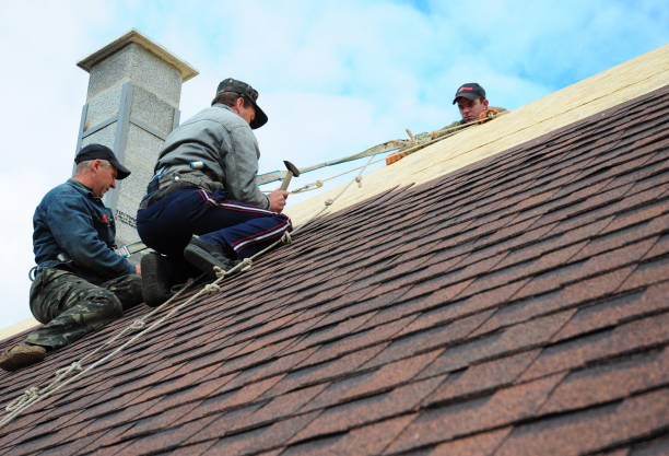 Best Best Roofing Contractors  in Shenandoah Farms, VA